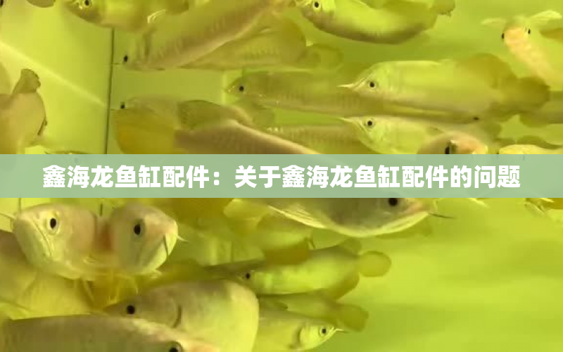 鑫海龍魚缸配件：關(guān)于鑫海龍魚缸配件的問題