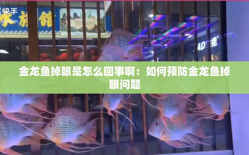 金龍魚掉眼是怎么回事?。喝绾晤A防金龍魚掉眼問題 水族問答