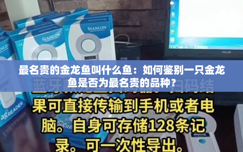 最名貴的金龍魚叫什么魚：如何鑒別一只金龍魚是否為最名貴的品種？ 水族問答 第2張