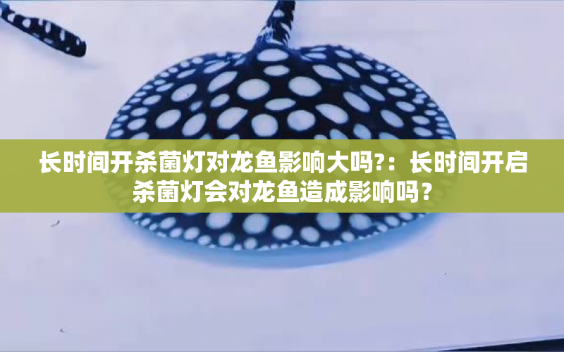 長時間開殺菌燈對龍魚影響大嗎?：長時間開啟殺菌燈會對龍魚造成影響嗎？ 水族問答