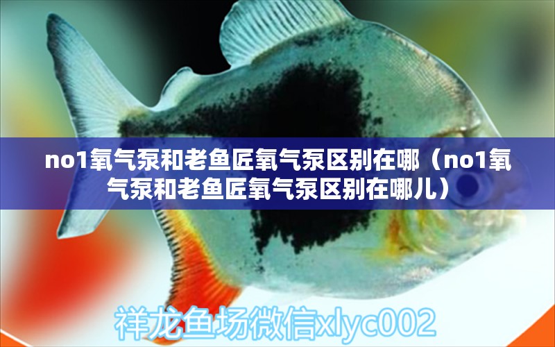 no1氧氣泵和老魚(yú)匠氧氣泵區(qū)別在哪（no1氧氣泵和老魚(yú)匠氧氣泵區(qū)別在哪兒）