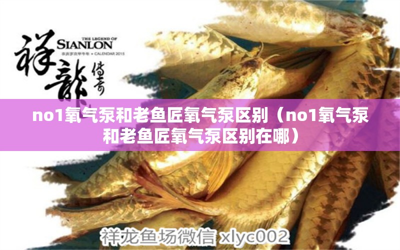 no1氧氣泵和老魚(yú)匠氧氣泵區(qū)別（no1氧氣泵和老魚(yú)匠氧氣泵區(qū)別在哪）