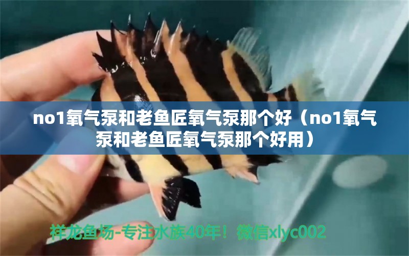 no1氧氣泵和老魚匠氧氣泵那個(gè)好（no1氧氣泵和老魚匠氧氣泵那個(gè)好用）