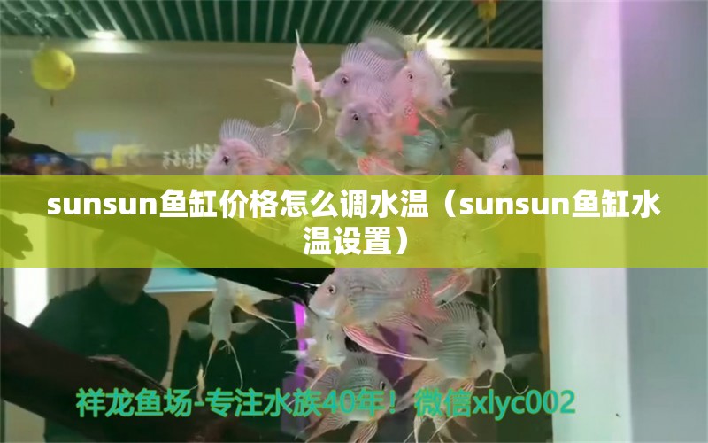 sunsun魚缸價(jià)格怎么調(diào)水溫（sunsun魚缸水溫設(shè)置）