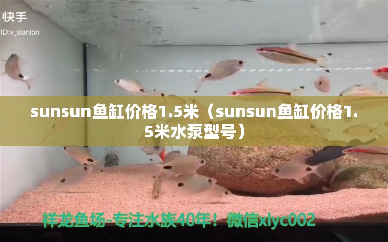 sunsun魚缸價(jià)格1.5米（sunsun魚缸價(jià)格1.5米水泵型號(hào)） 祥龍水族醫(yī)院