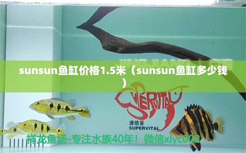 sunsun魚缸價格1.5米（sunsun魚缸多少錢） 祥龍水族醫(yī)院