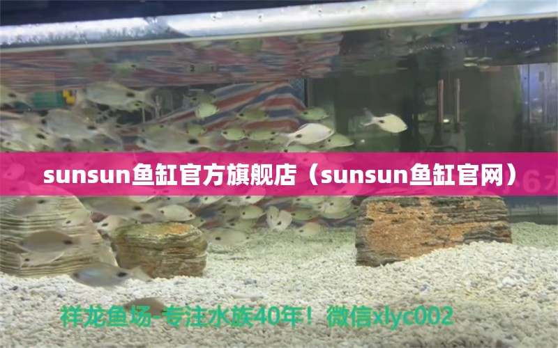 sunsun魚缸官方旗艦店（sunsun魚缸官網(wǎng)）