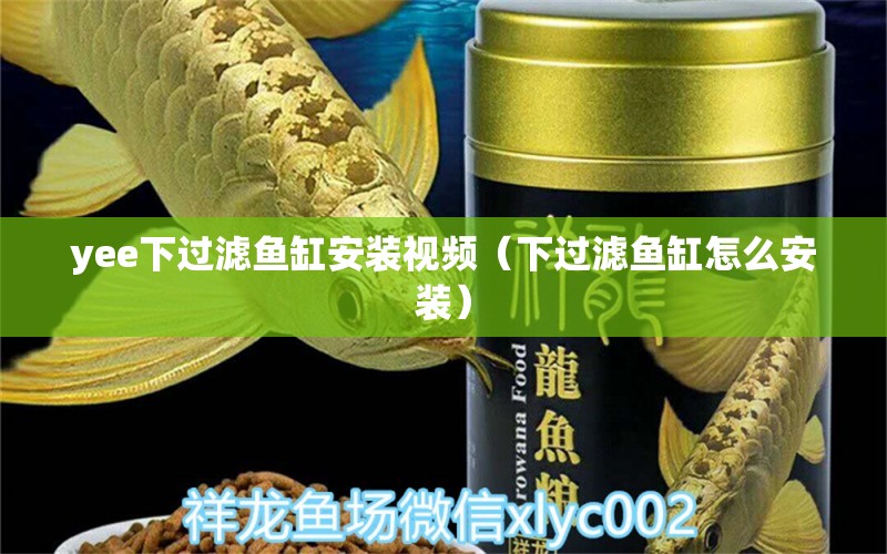 yee下過濾魚缸安裝視頻（下過濾魚缸怎么安裝）