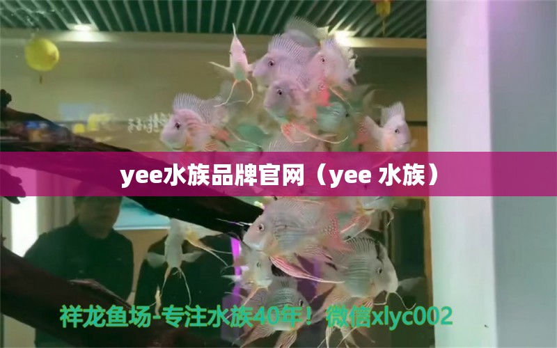 yee水族品牌官網(wǎng)（yee 水族） yee