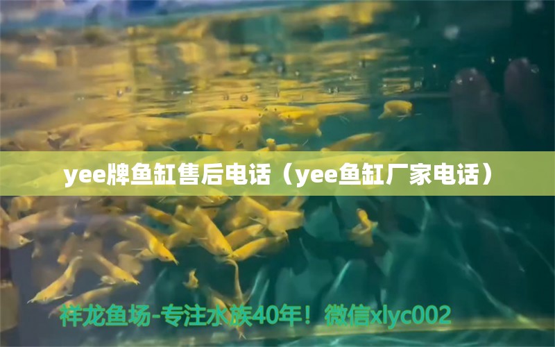 yee牌魚缸售后電話（yee魚缸廠家電話）