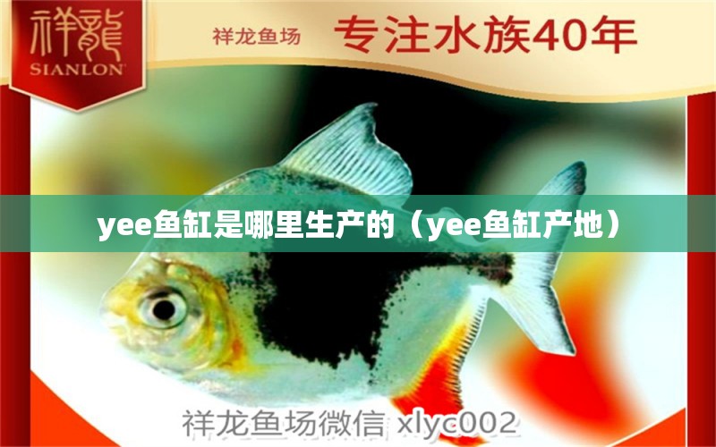 yee魚缸是哪里生產(chǎn)的（yee魚缸產(chǎn)地）