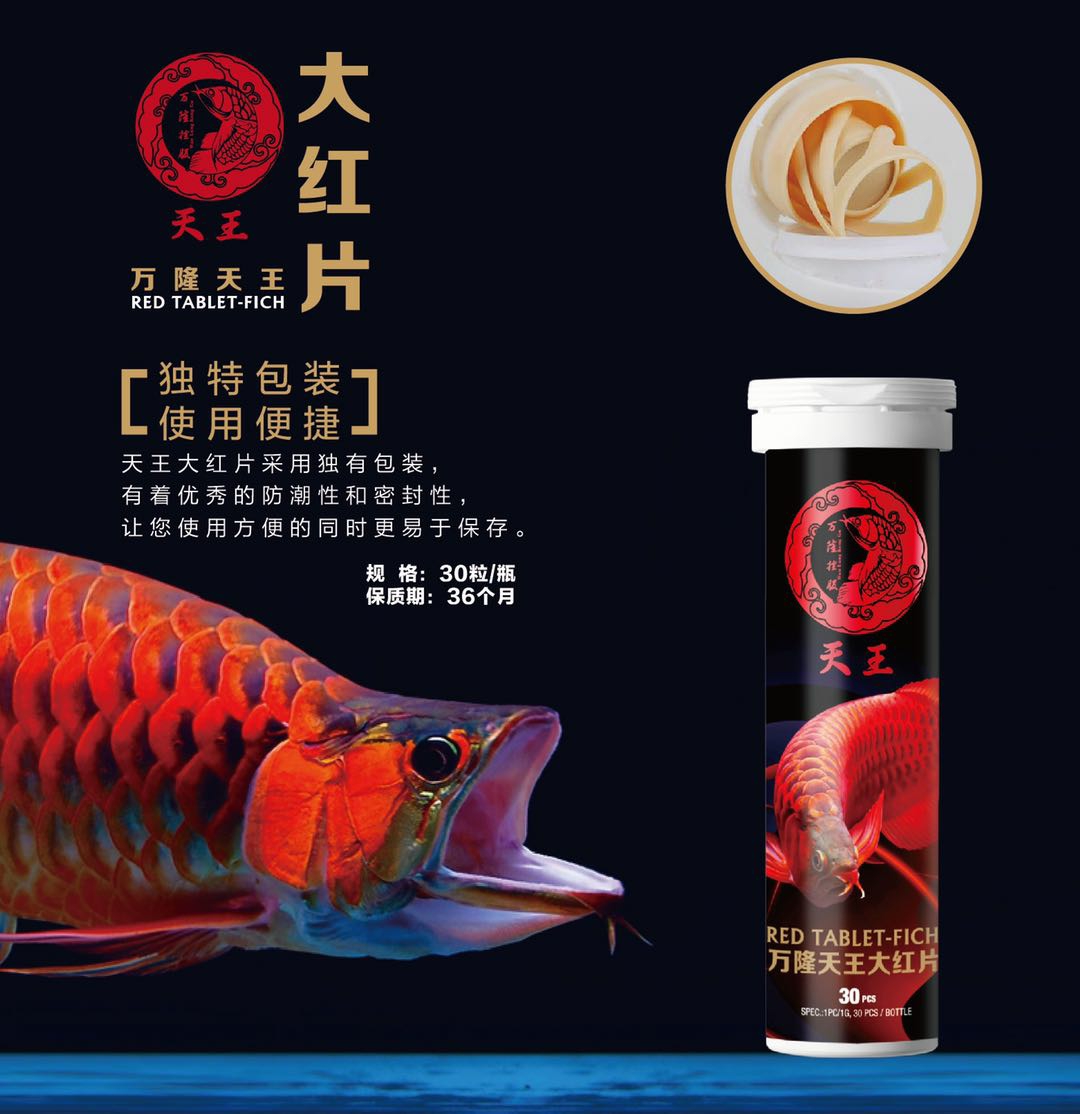 龍魚的福音 廣州觀賞魚批發(fā)市場 第4張