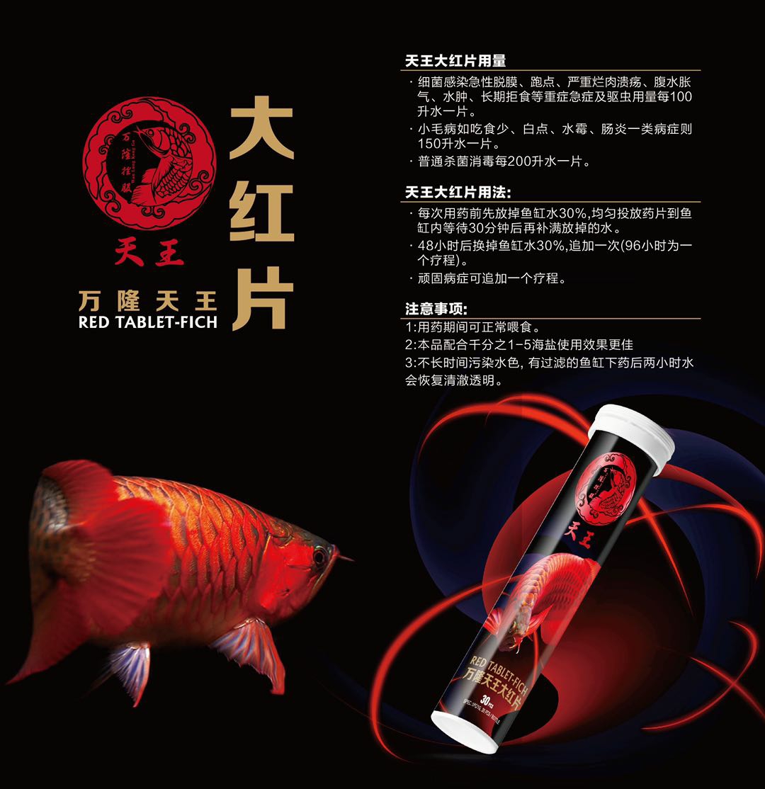 龍魚的福音 廣州觀賞魚批發(fā)市場 第6張