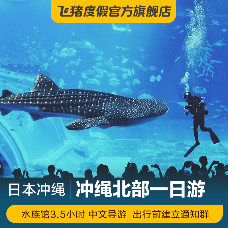 純白燈拍攝的魚 水族用品 第2張