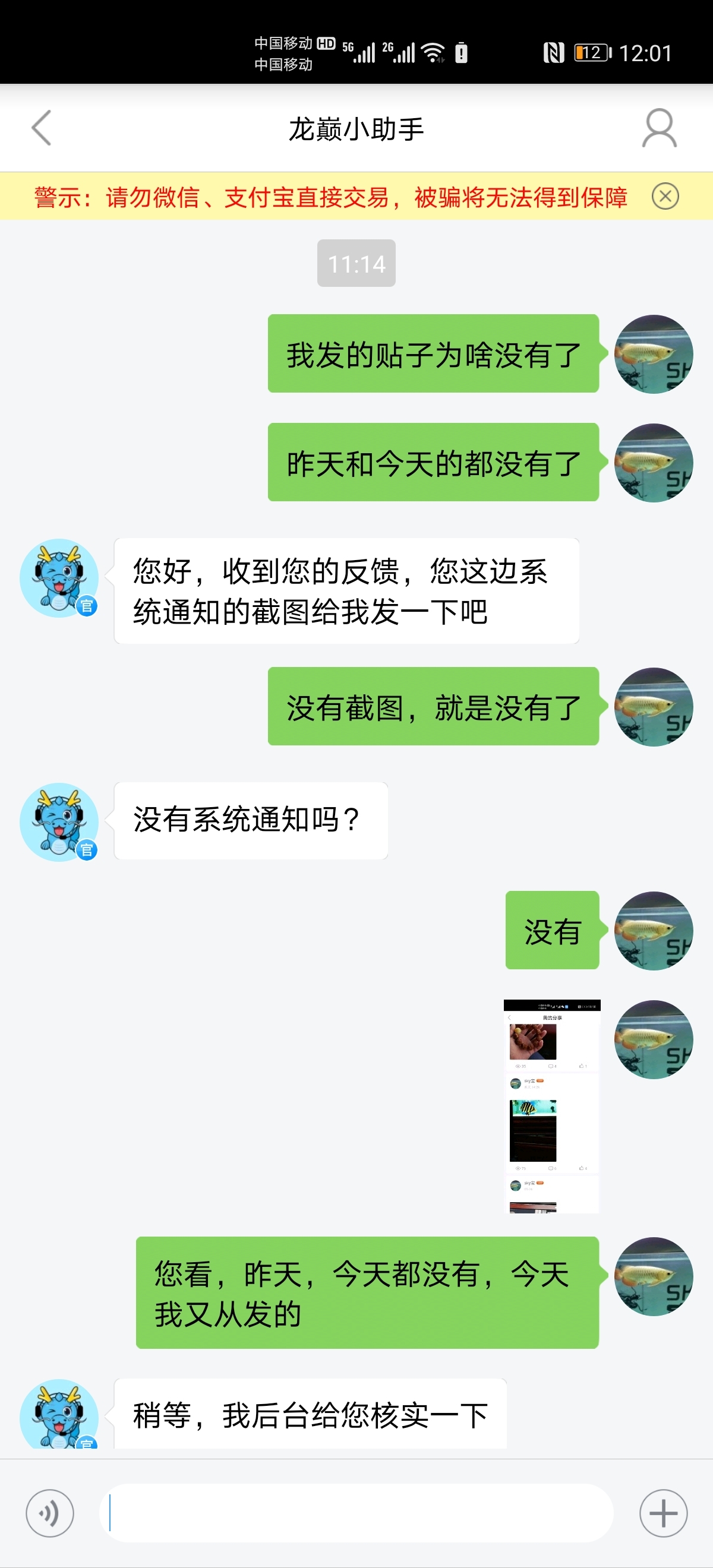 我自己刪自己帖子有點意思 細線銀版魚 第1張