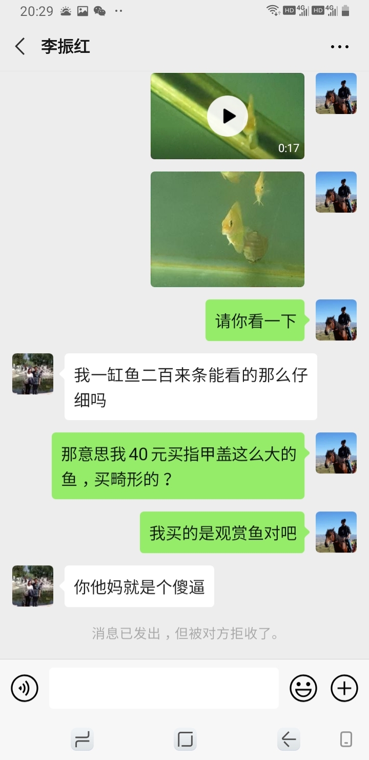 揭露大連老李這個騙子在咸魚上看到他家七彩很漂亮所以買了他家40元一只的魚苗結(jié)果收到 月光鴨嘴魚 第4張