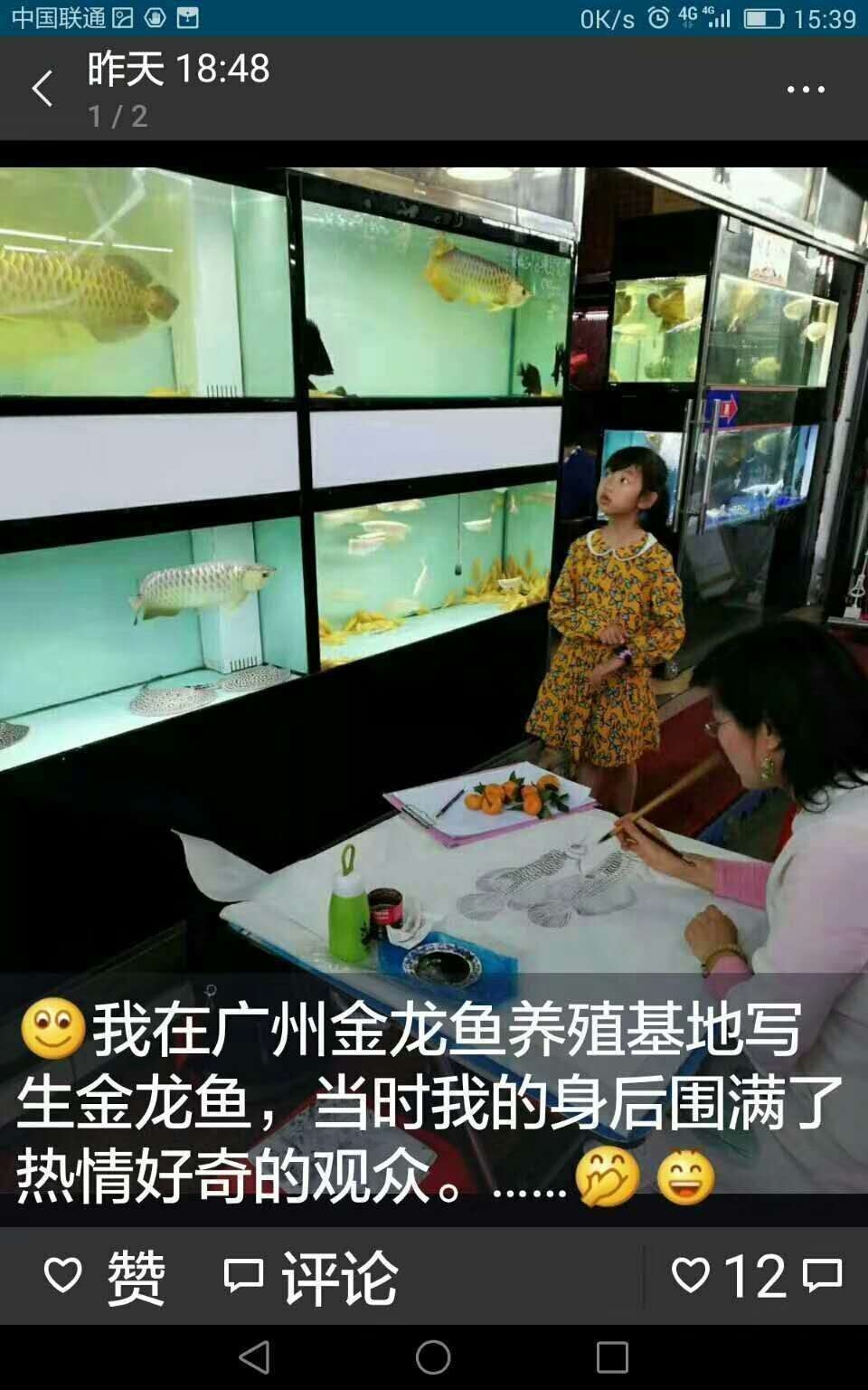 純手繪金龍魚國(guó)畫