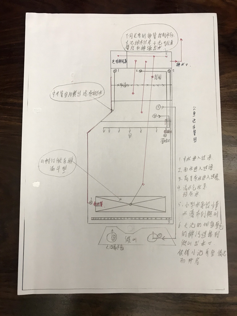 心動不如行動 埃及神仙魚 第1張