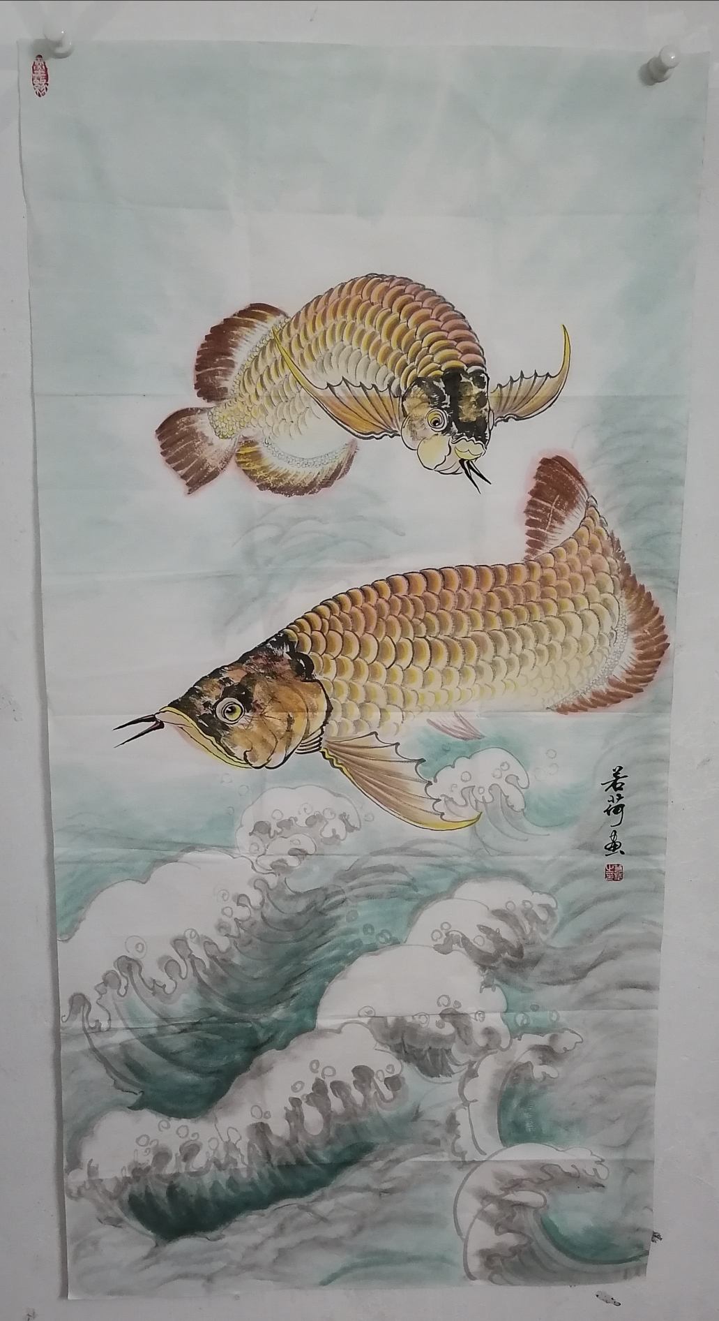 專畫金龍魚