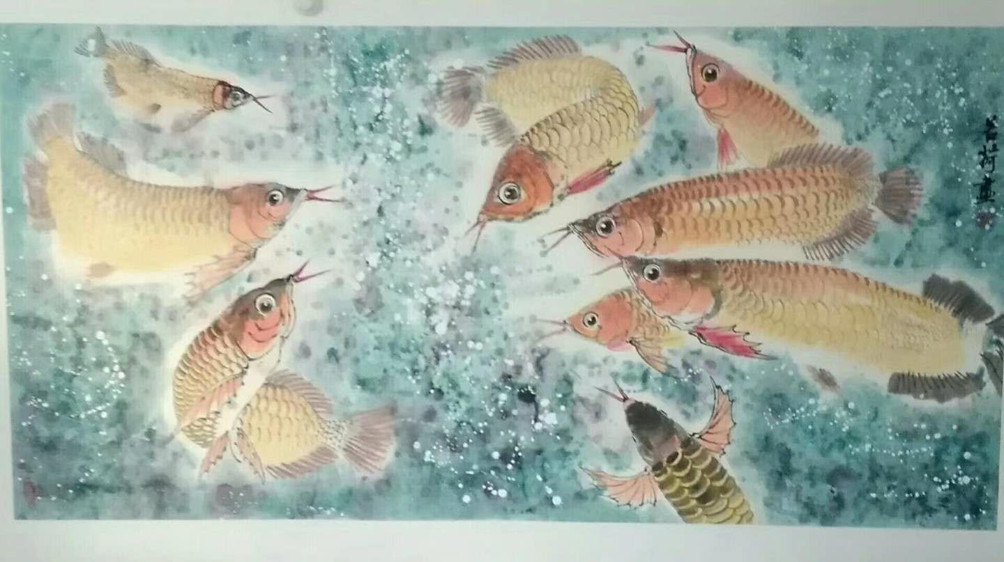 專畫(huà)金龍魚(yú) 南美異型魚(yú) 第5張