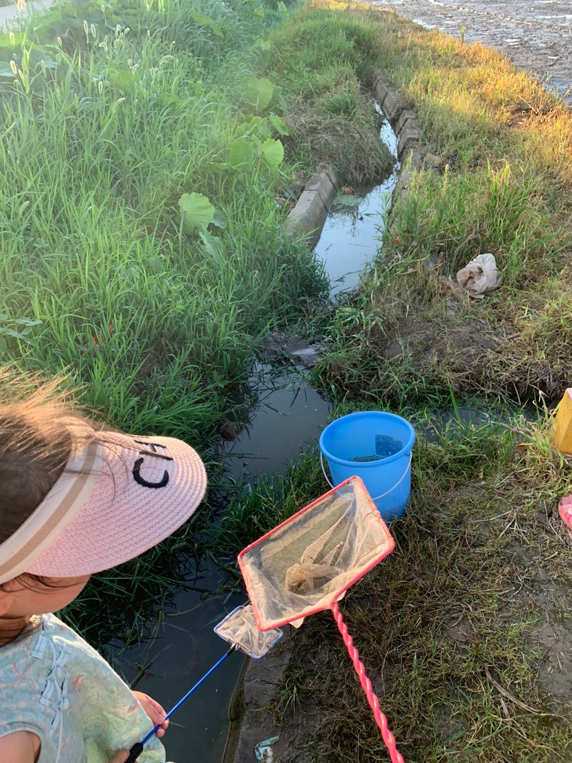 水溝撈小魚