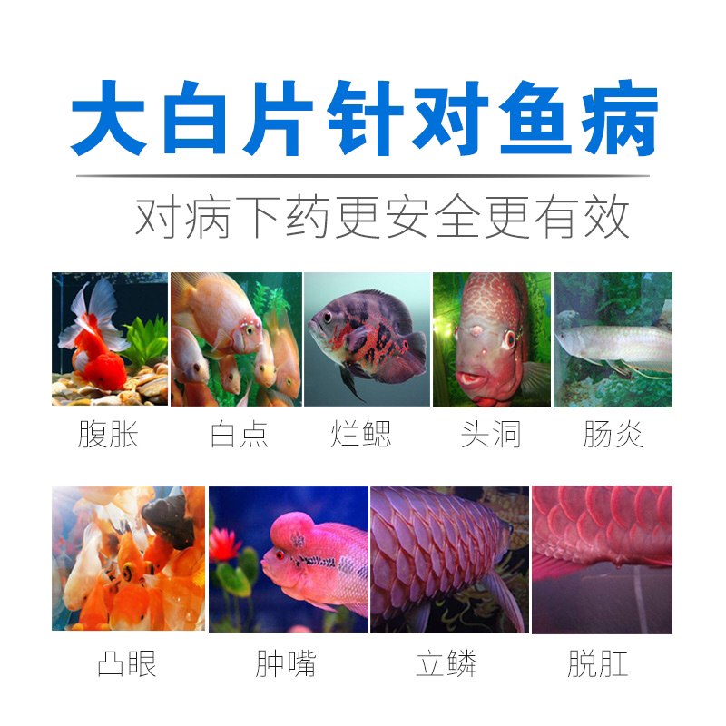 國家認證三元康大白片龍魚虎魚等觀賞魚粘液異常內寄生蟲殺菌水族魚藥