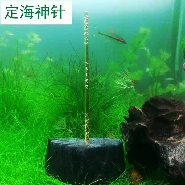 買的魚有傷應(yīng)該怎么辦？ 水族用品 第3張