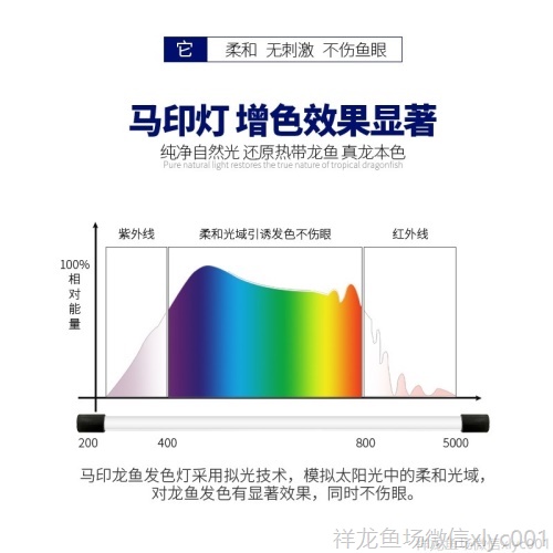 馬印龍魚燈管紅金龍魚專用燈T5潛水燈魚缸水族防水燈照明燈水中燈