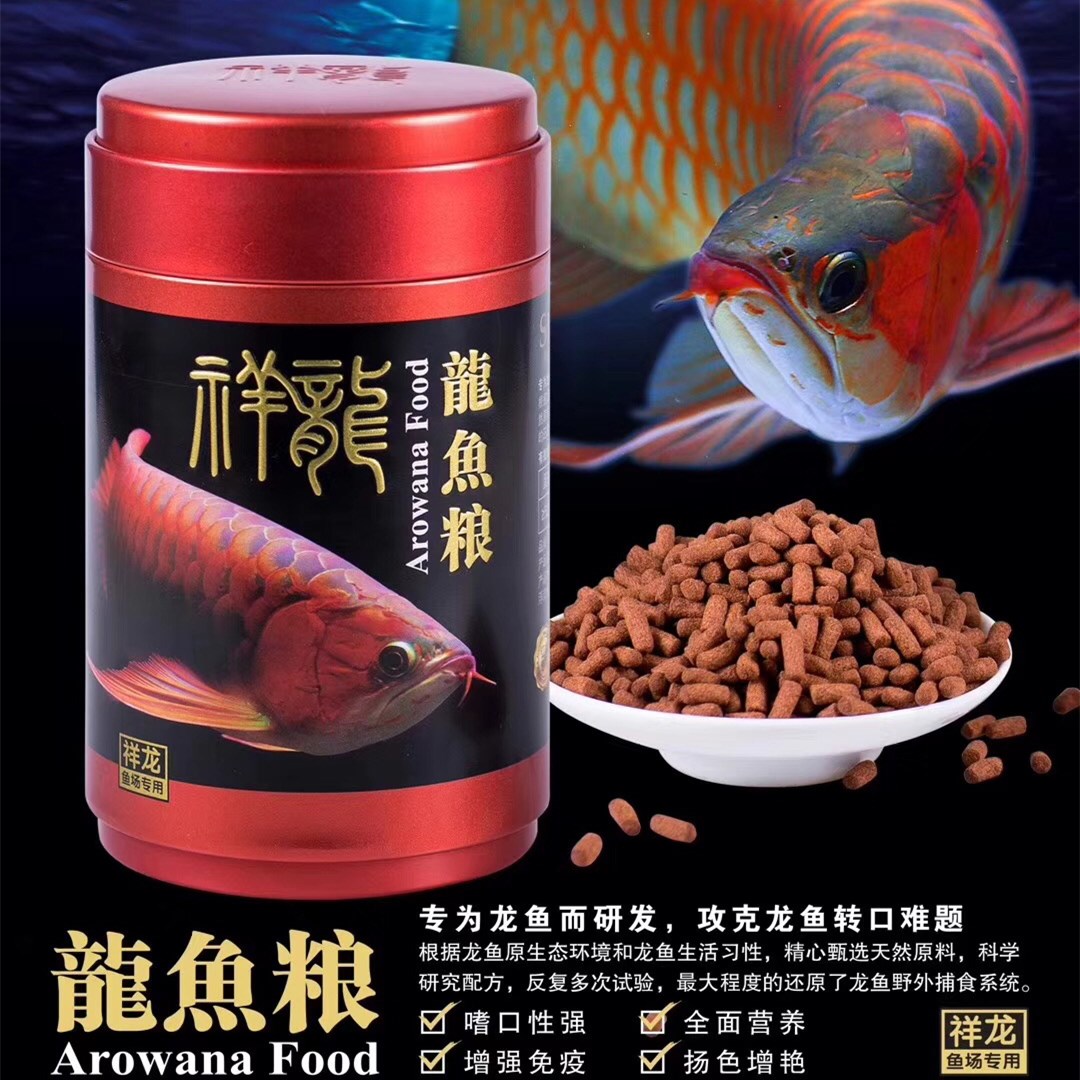 祥龍魚場紅龍金龍魚專業(yè)魚糧飼料 祥龍魚場 第1張