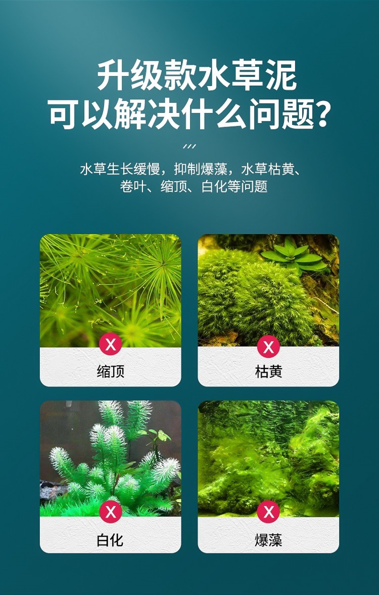 水草泥魚缸造景底砂沙免洗不渾水草缸陶粒亞馬遜基肥營養(yǎng)土泥套餐 水草 第37張