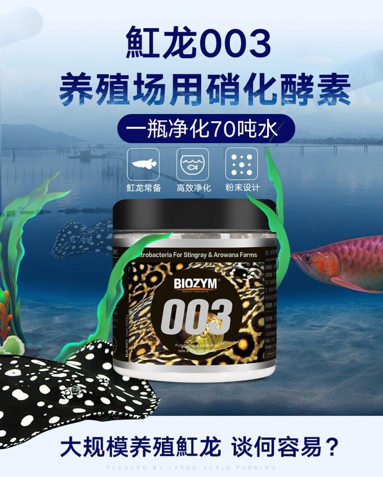 百因美魟魚龍魚硝化酵素水族硝化細菌活性消化菌大水體養(yǎng)殖專用 硝化細菌 第11張