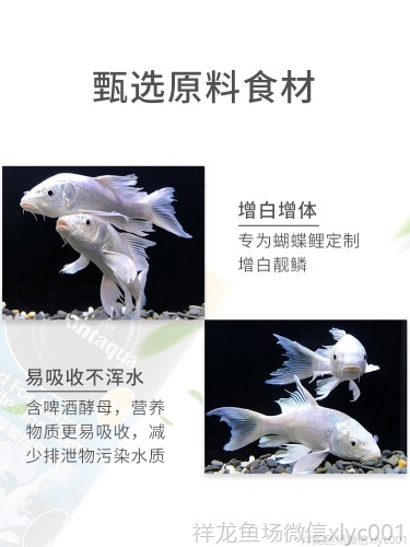 大禹德邦臺(tái)灣蝴蝶鯉專用飼料增白增體白金龍鳳錦鯉魚糧魚食不渾水 蝴蝶鯉 第6張