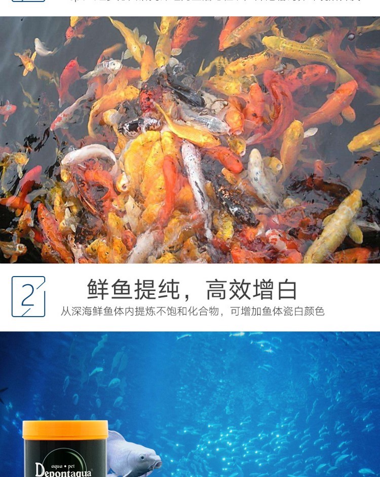 大禹德邦臺(tái)灣蝴蝶鯉專用飼料增白增體白金龍鳳錦鯉魚糧魚食不渾水 蝴蝶鯉 第18張