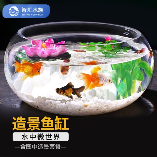 智匯玻璃魚(yú)缸圓形水族箱客廳家用小魚(yú)缸帶造景金魚(yú)缸鼓缸迷你桌面創(chuàng)意烏龜缸加厚透明草缸20鼓缸+造景套裝（彩石+水草+扇貝+貝殼） 烏龜 第9張