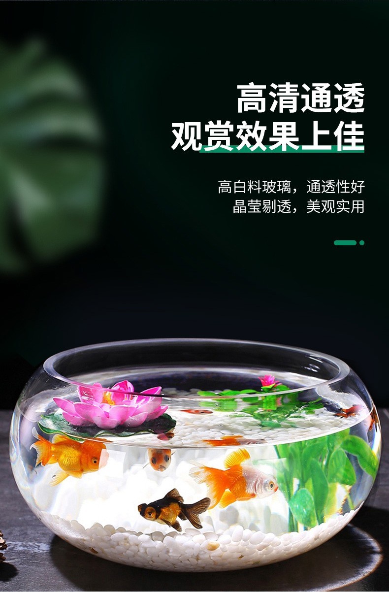 智匯玻璃魚(yú)缸圓形水族箱客廳家用小魚(yú)缸帶造景金魚(yú)缸鼓缸迷你桌面創(chuàng)意烏龜缸加厚透明草缸20鼓缸+造景套裝（彩石+水草+扇貝+貝殼） 烏龜 第32張