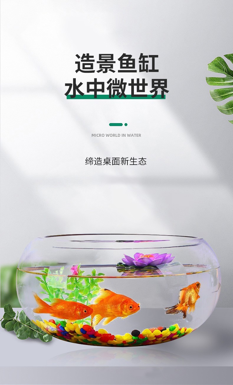 智匯玻璃魚(yú)缸圓形水族箱客廳家用小魚(yú)缸帶造景金魚(yú)缸鼓缸迷你桌面創(chuàng)意烏龜缸加厚透明草缸20鼓缸+造景套裝（彩石+水草+扇貝+貝殼） 烏龜 第30張