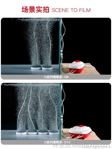 牧龍居(H)魚缸氧氣泵超靜音小型打氧機大氣量增氧泵養(yǎng)魚充氧器 其他益生菌 第14張