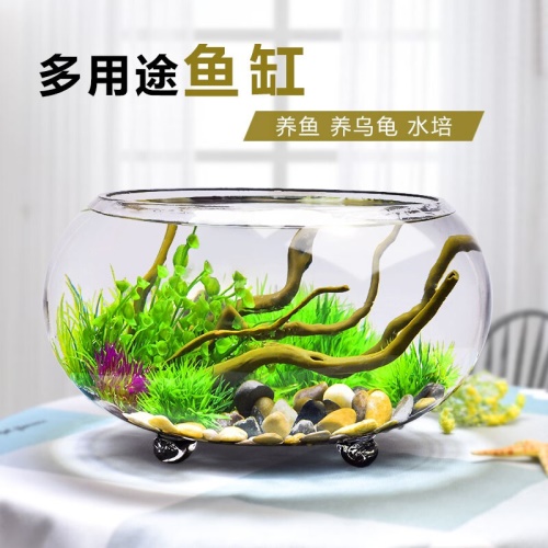 喜萊卡水族箱辦公桌面透明魚缸橢圓金魚缸創(chuàng)意小型造景生態(tài)圓形魚缸客梯家用浮法玻璃魚缸熱帶魚缸懶人魚缸