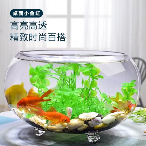 喜萊卡水族箱辦公桌面透明魚缸橢圓金魚缸創(chuàng)意小型造景生態(tài)圓形魚缸客梯家用浮法玻璃魚缸熱帶魚缸懶人魚缸