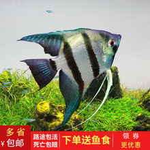 美國貝立海PERIHA魚缸氧氣泵靜音大功率池塘氧氣泵增氧機供氧機 垂釣樂園 第39張