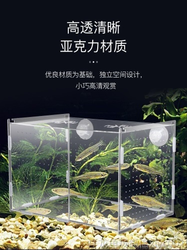 孔雀魚(yú)繁殖盒孵化盒亞克力魚(yú)缸隔離盒產(chǎn)卵器魚(yú)卵繁殖箱小魚(yú)產(chǎn)房 祥龍傳奇品牌魚(yú)缸 第4張