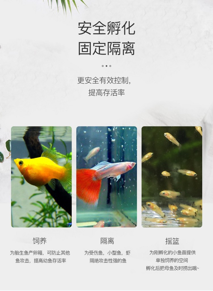 孔雀魚(yú)繁殖盒孵化盒亞克力魚(yú)缸隔離盒產(chǎn)卵器魚(yú)卵繁殖箱小魚(yú)產(chǎn)房 祥龍傳奇品牌魚(yú)缸 第53張