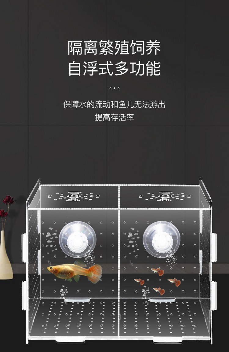 孔雀魚(yú)繁殖盒孵化盒亞克力魚(yú)缸隔離盒產(chǎn)卵器魚(yú)卵繁殖箱小魚(yú)產(chǎn)房 祥龍傳奇品牌魚(yú)缸 第50張