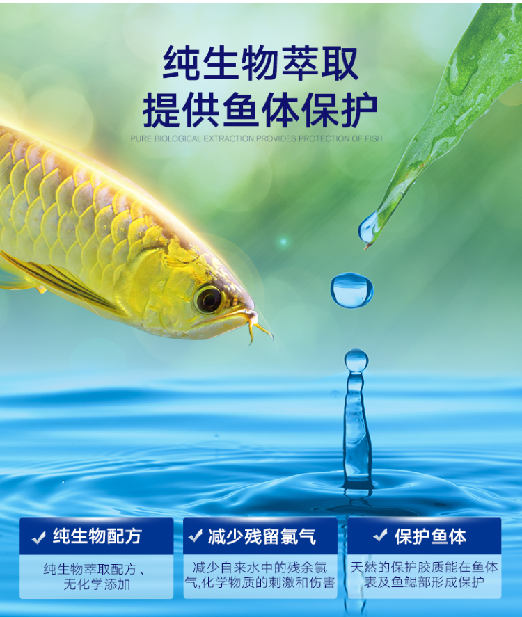 百因美魚缸專用水質(zhì)穩(wěn)定劑自來水除氯劑水質(zhì)安定劑水族換水除氯氣 奈及利亞紅圓點狗頭 第20張