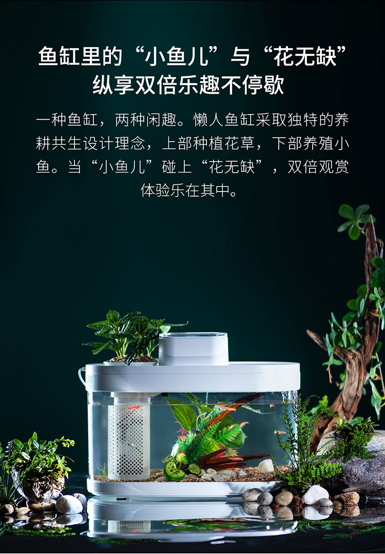 畫法幾何桌面生態(tài)懶人魚缸C180基礎(chǔ)款上過濾帶燈底砂棉支持一鍵換水USB供電長(zhǎng)29cm長(zhǎng) 銀河星鉆魚 第112張