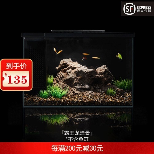 小佩起源紀(jì)魚(yú)缸超白玻璃水族箱桌面客廳小米家用造景生態(tài)金魚(yú)缸 魚(yú)缸/水族箱 第21張