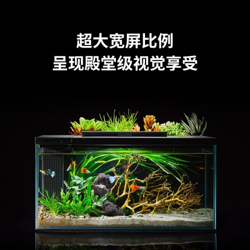 小佩起源紀(jì)魚(yú)缸超白玻璃水族箱桌面客廳小米家用造景生態(tài)金魚(yú)缸 魚(yú)缸/水族箱 第8張