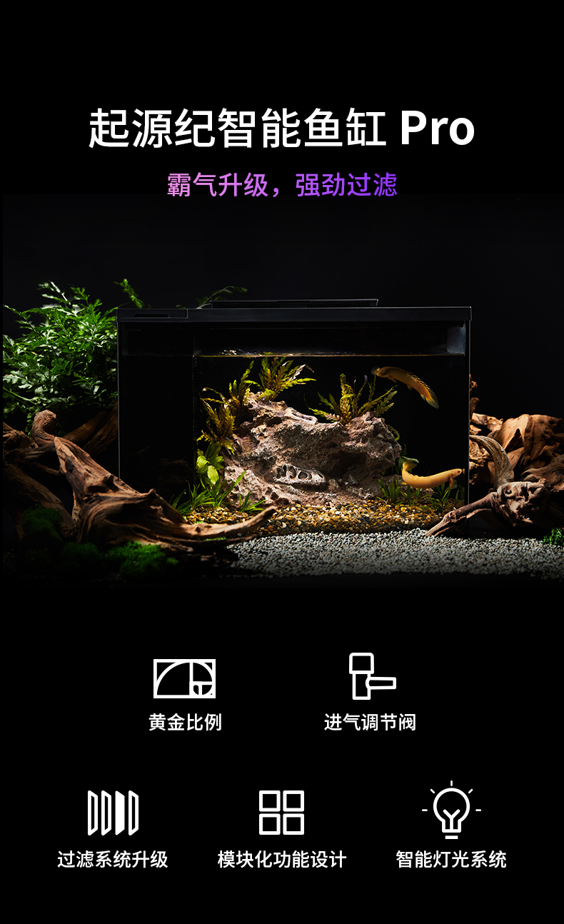 小佩起源紀(jì)魚(yú)缸超白玻璃水族箱桌面客廳小米家用造景生態(tài)金魚(yú)缸 魚(yú)缸/水族箱 第102張