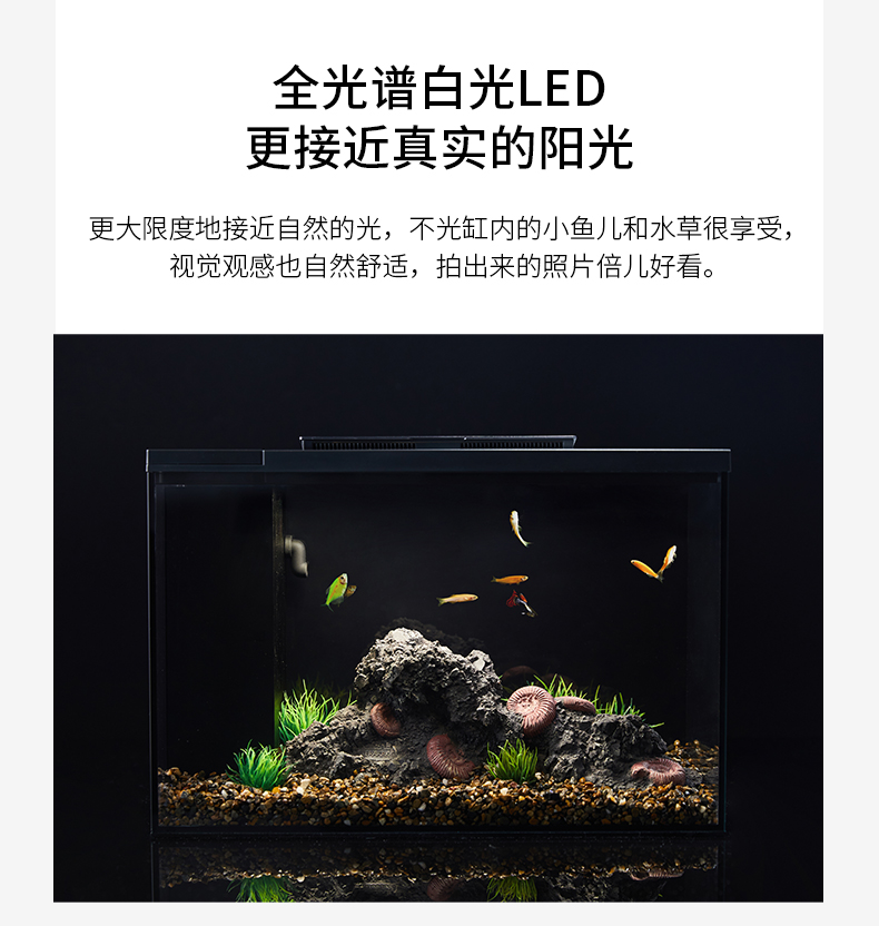 小佩起源紀(jì)魚(yú)缸超白玻璃水族箱桌面客廳小米家用造景生態(tài)金魚(yú)缸 魚(yú)缸/水族箱 第110張