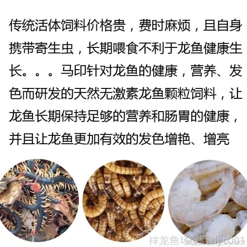 馬印龍魚飼料金龍魚飼料龍魚飼料專用魚食紅龍魚飼料龍魚飼料活體 馬印水族 第7張